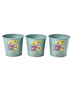 Burgon & Ball RHS Asteraceae Herb Pots